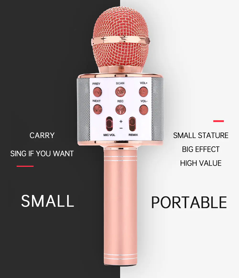 Karaoke Party Mic – Zing. Schitter. Herhaal.