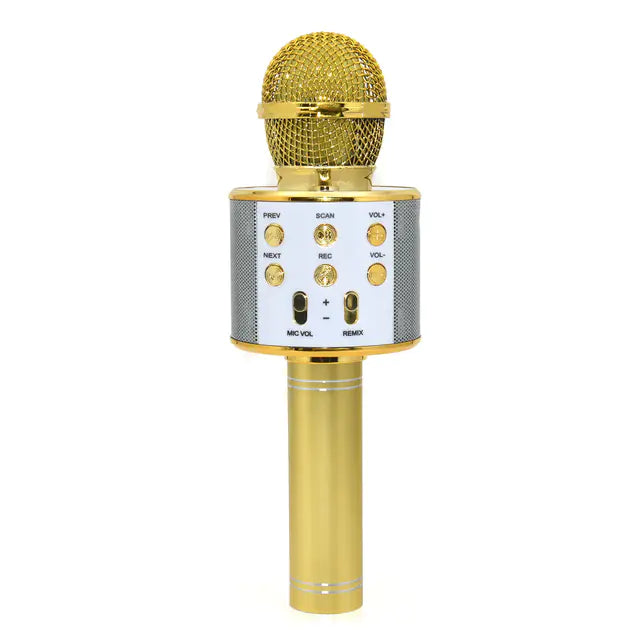 Karaoke Party Mic – Zing. Schitter. Herhaal.