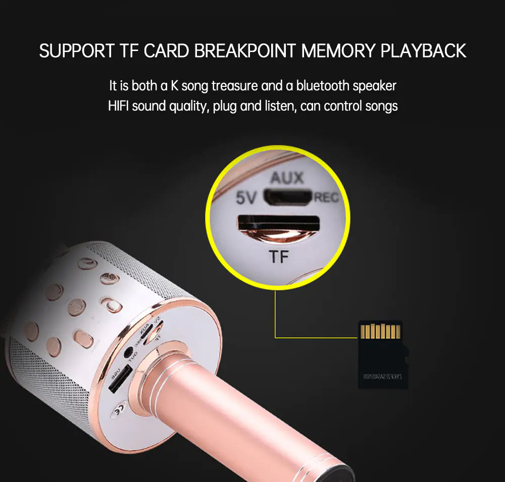 Karaoke Party Mic – Zing. Schitter. Herhaal.