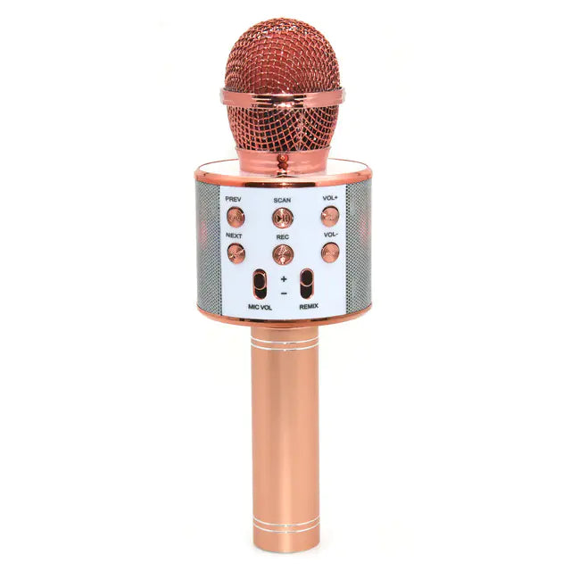 Karaoke Party Mic – Zing. Schitter. Herhaal.